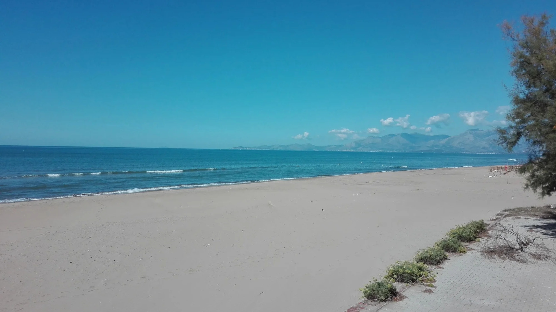 International Resort