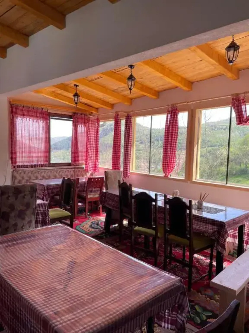 NINO Natural wood house 1