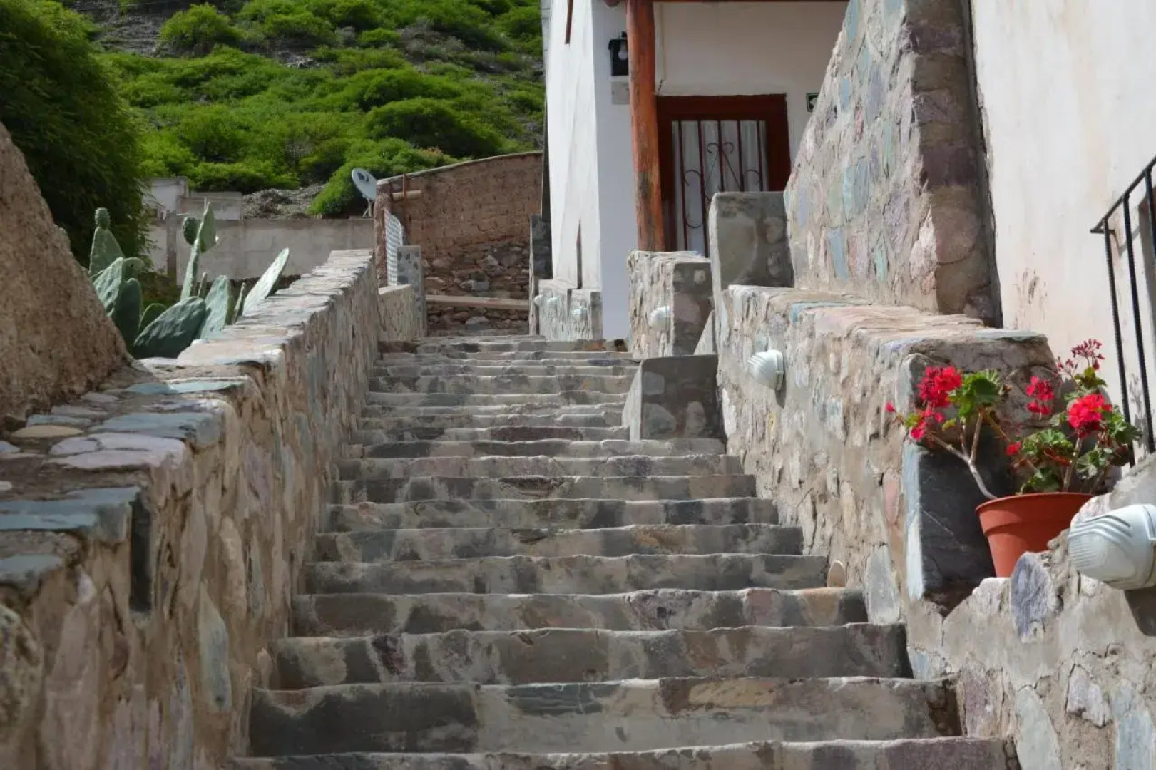 Hosteria Federico III