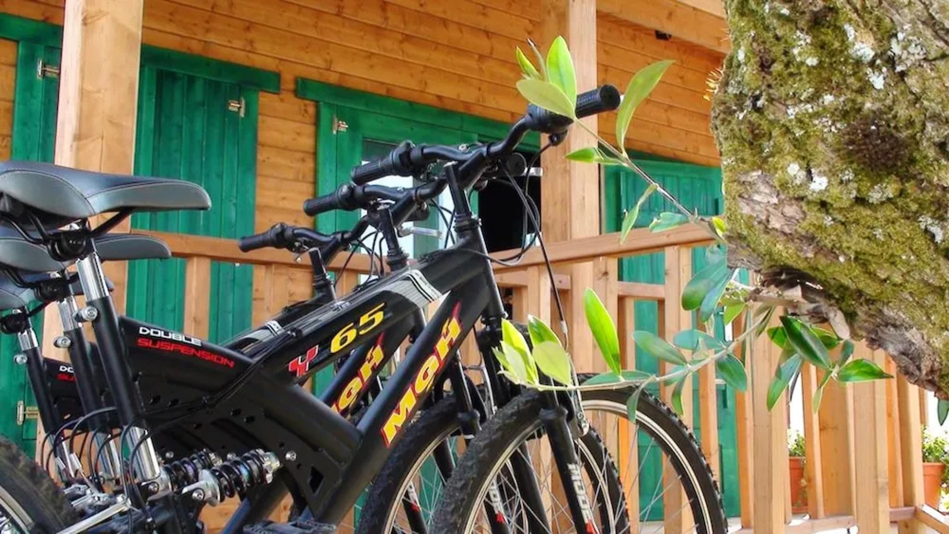 Villa With 4 Bedrooms in Vilar da Mo, Belver, With Wonderful Mountain