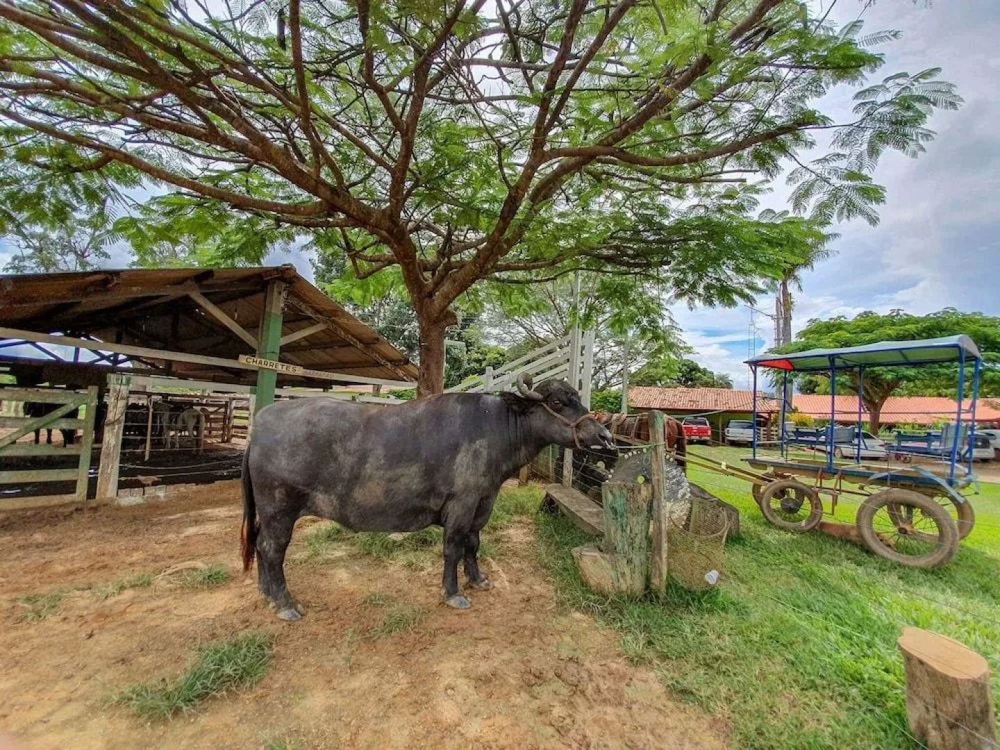Hotel Fazenda Araras