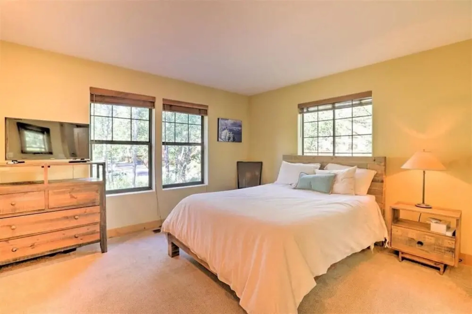 El Dorado Criterion 65 Walnut