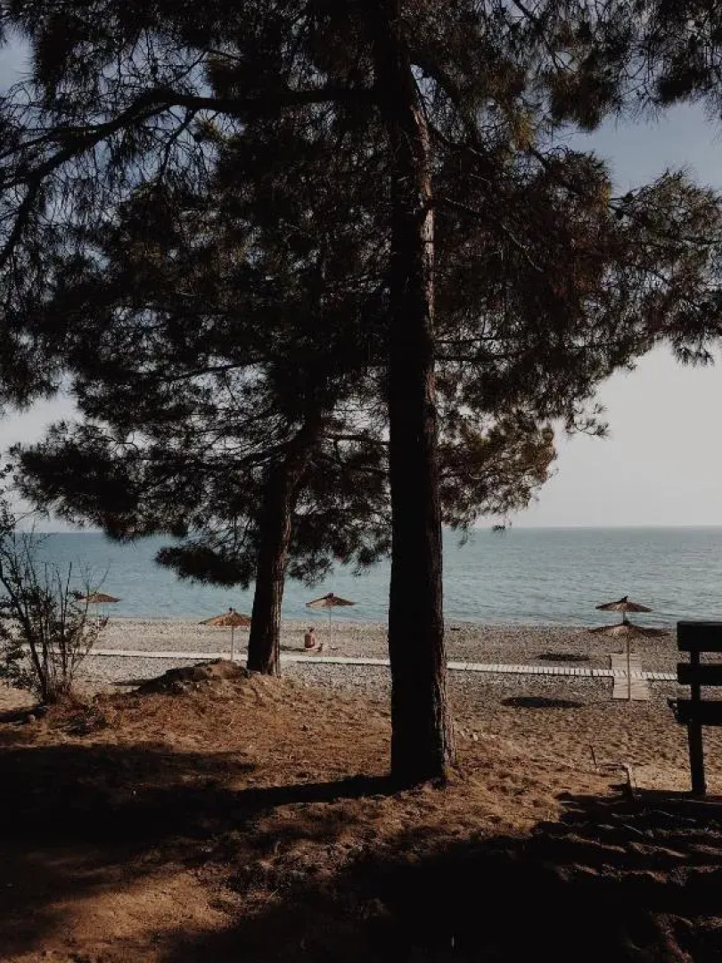 Apartamenty na ul Agrba 3/1