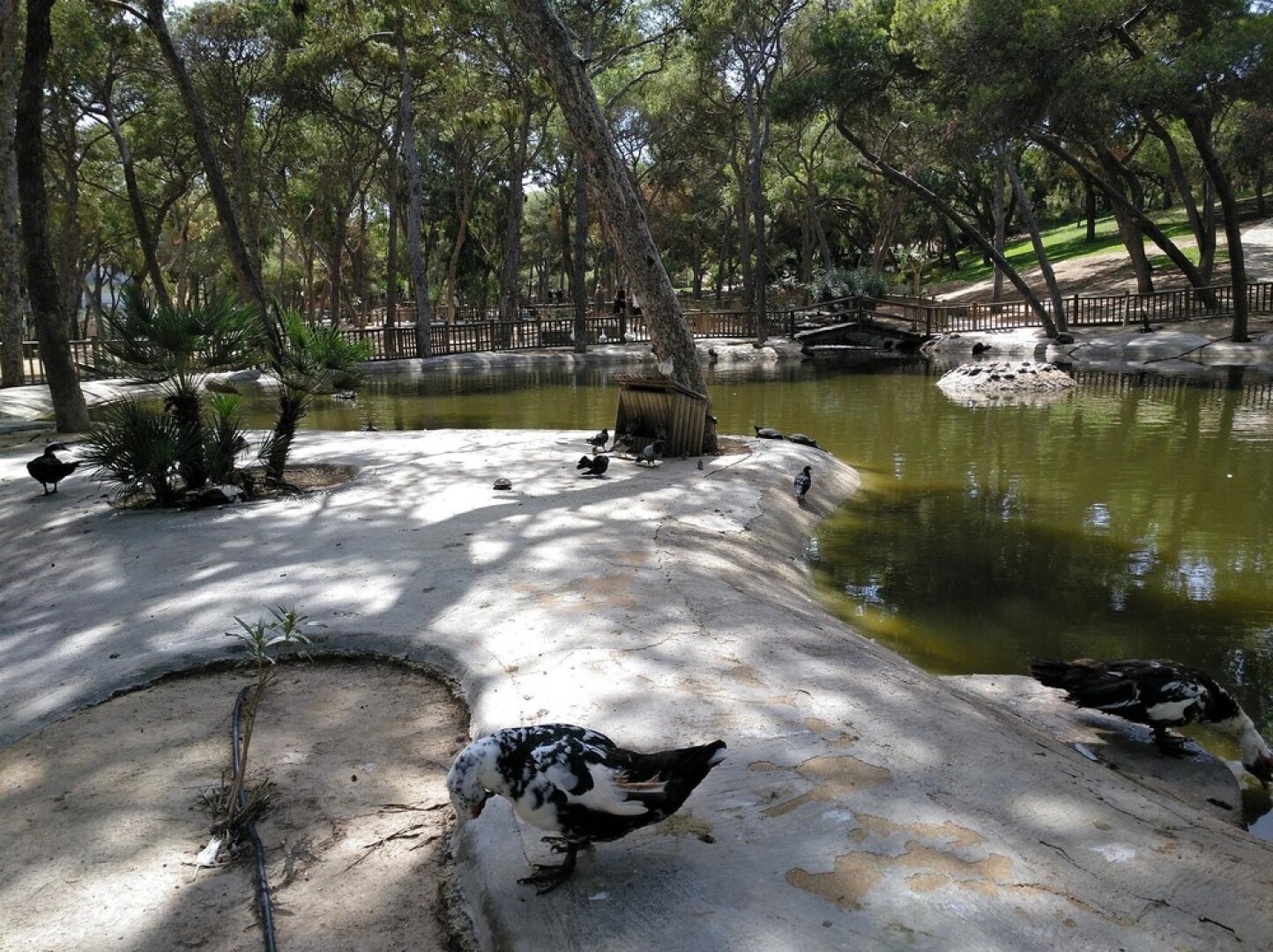 Apartment With one Bedroom in Guardamar del Segura, With Pool Access a