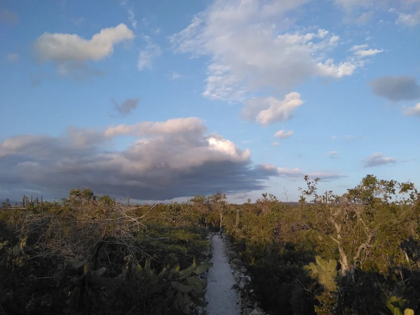 Glamping Ecolodge Cueva de las Águilas