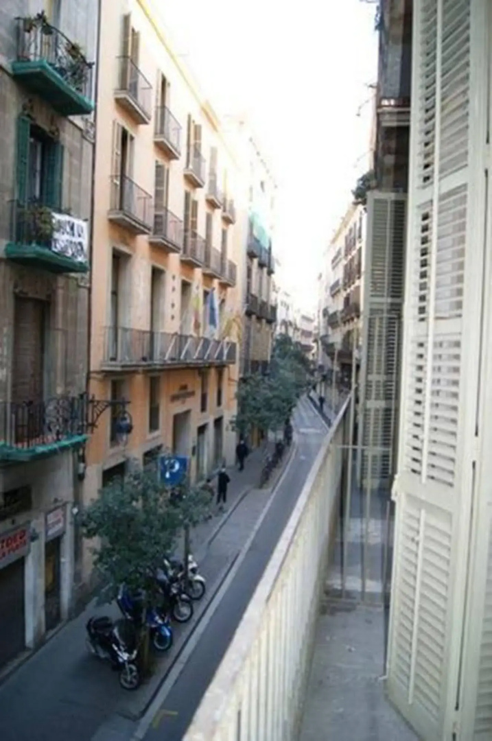Palace Guesthouse