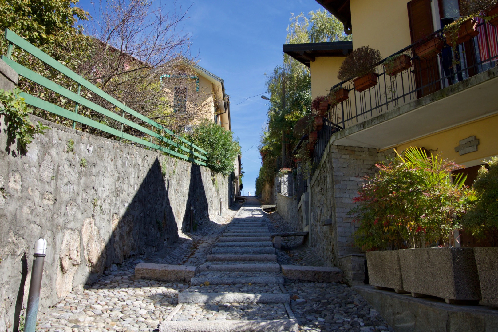 Painted Window by the lake