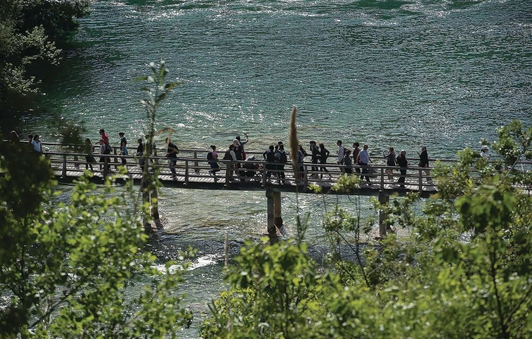 Awesome Home in Lozovac With Wifi and 3 Bedrooms