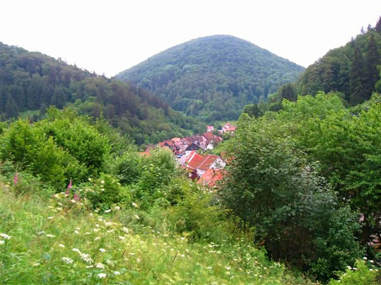 Geraumiges Haus in Zorge