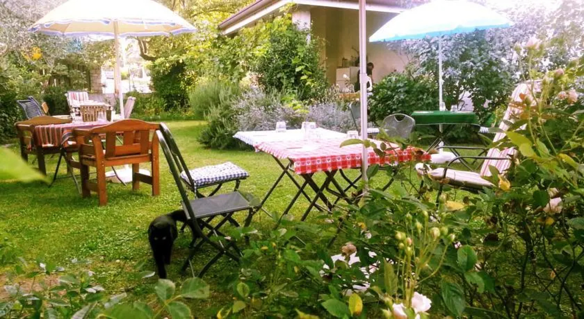 Bed & Breakfast Da Rosy