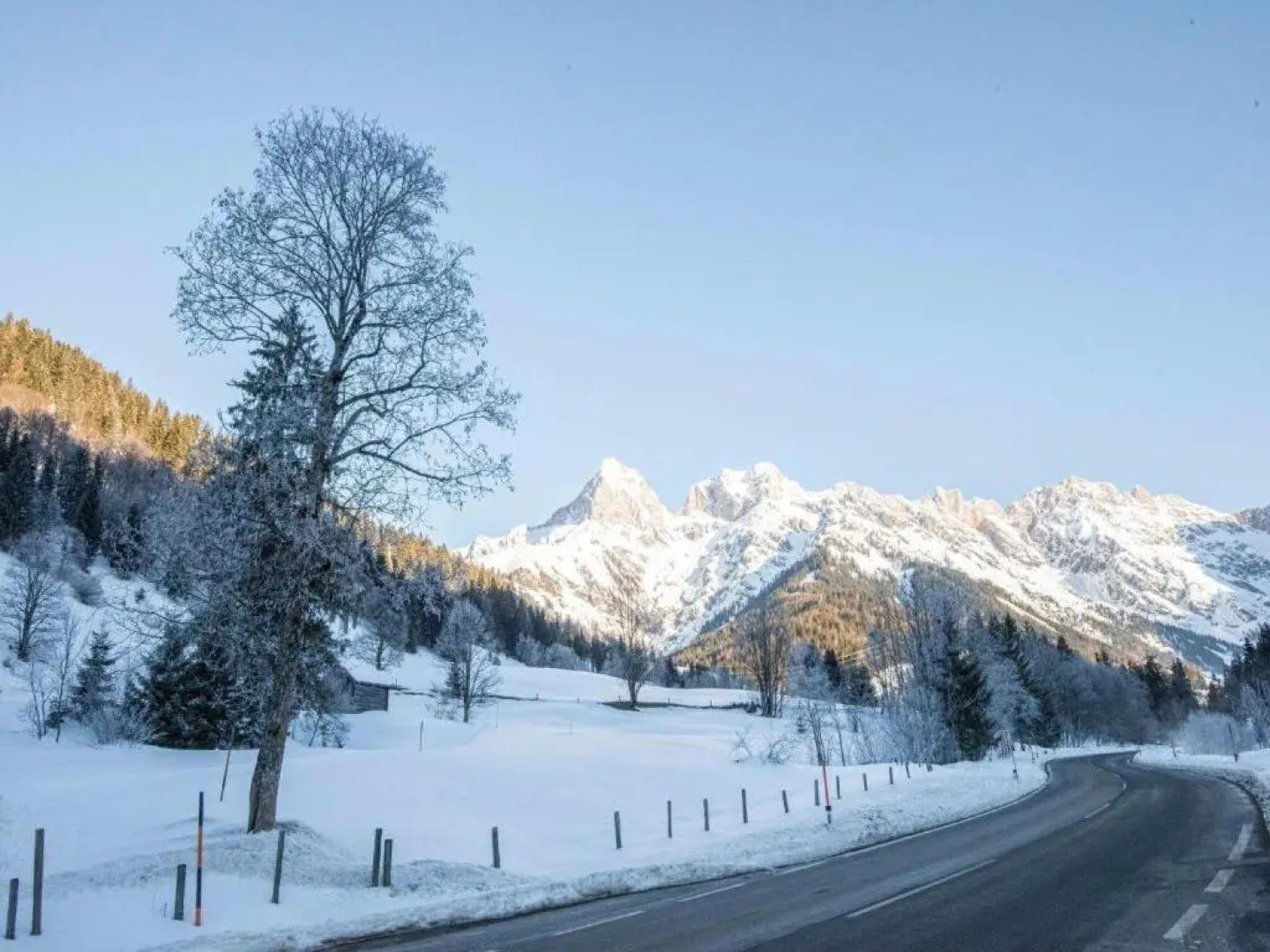 Leni's Mountain Appartements