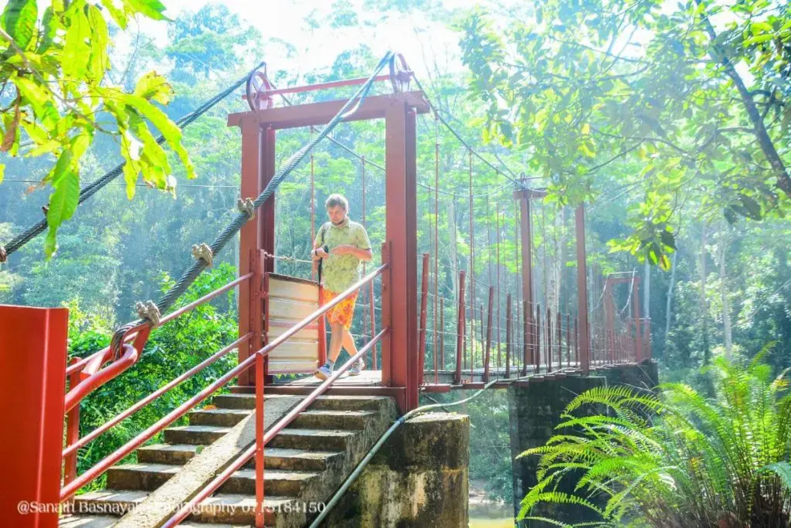 Rainforest Holiday Inn