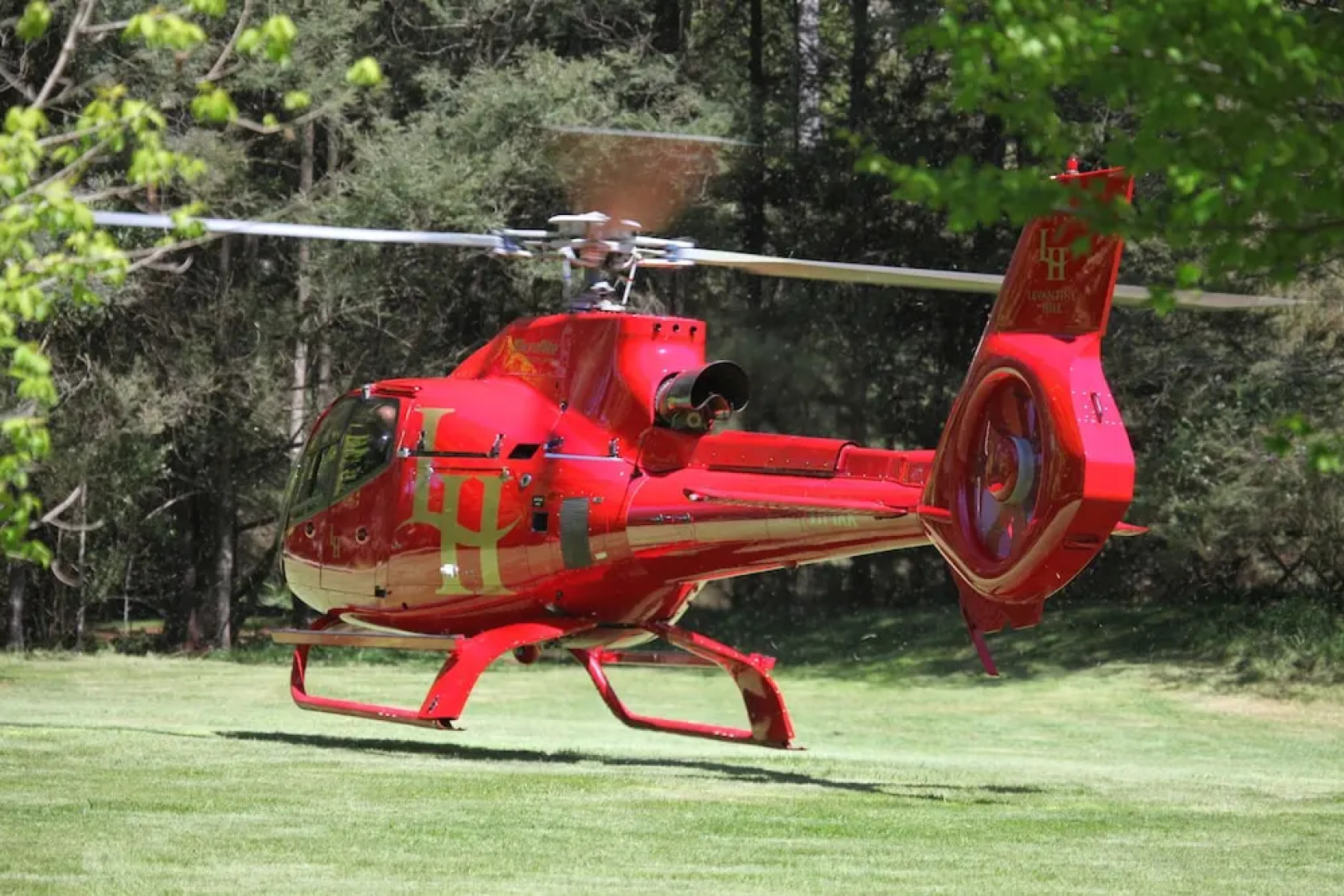 Woodlands Rainforest Retreat