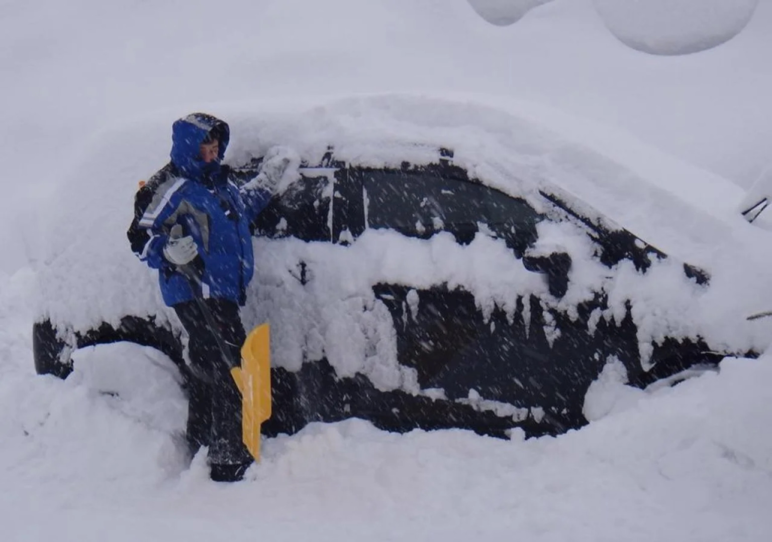 Ramat Niseko - Hostel