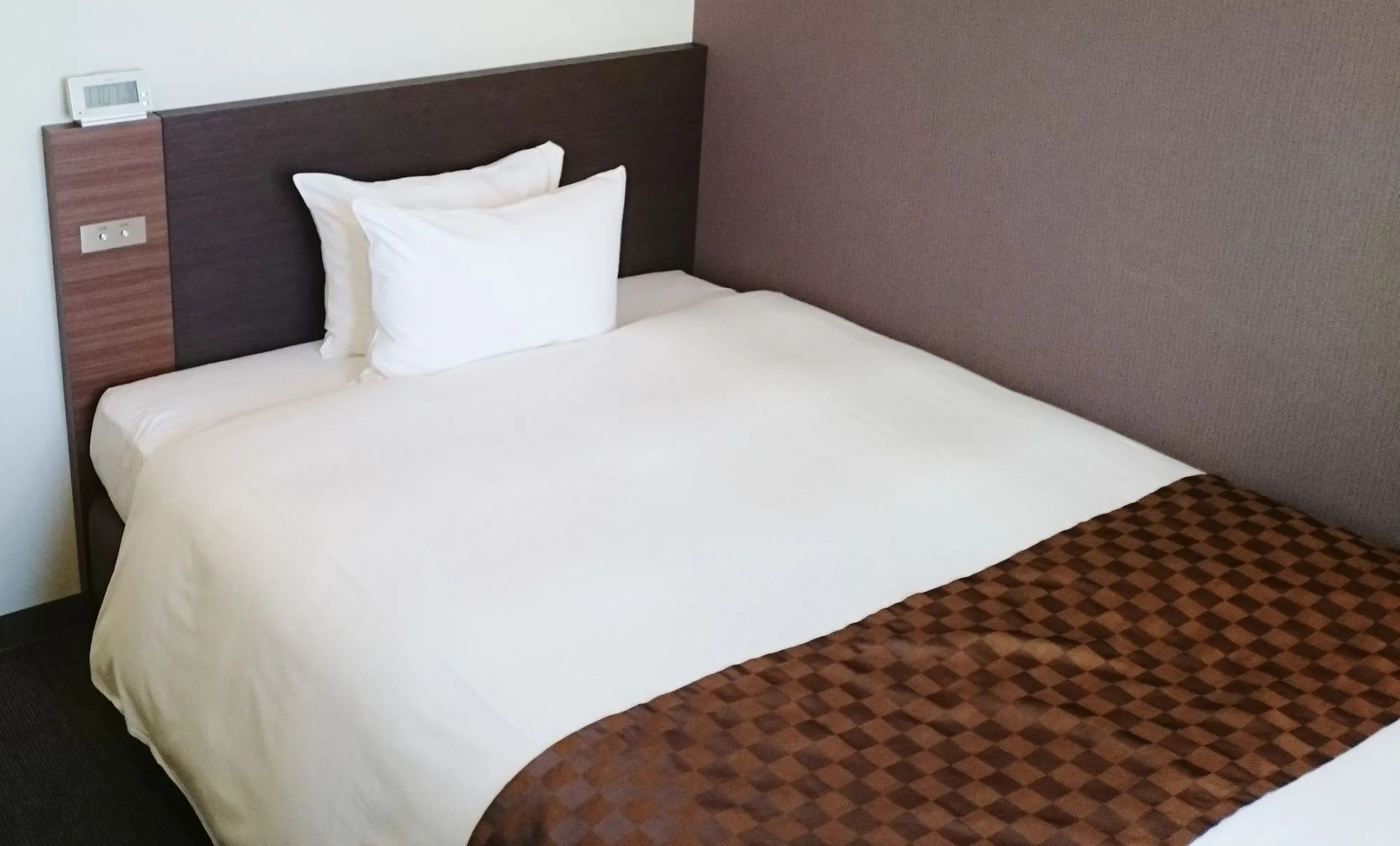 Hotel Ascent Plaza Hamamatsu