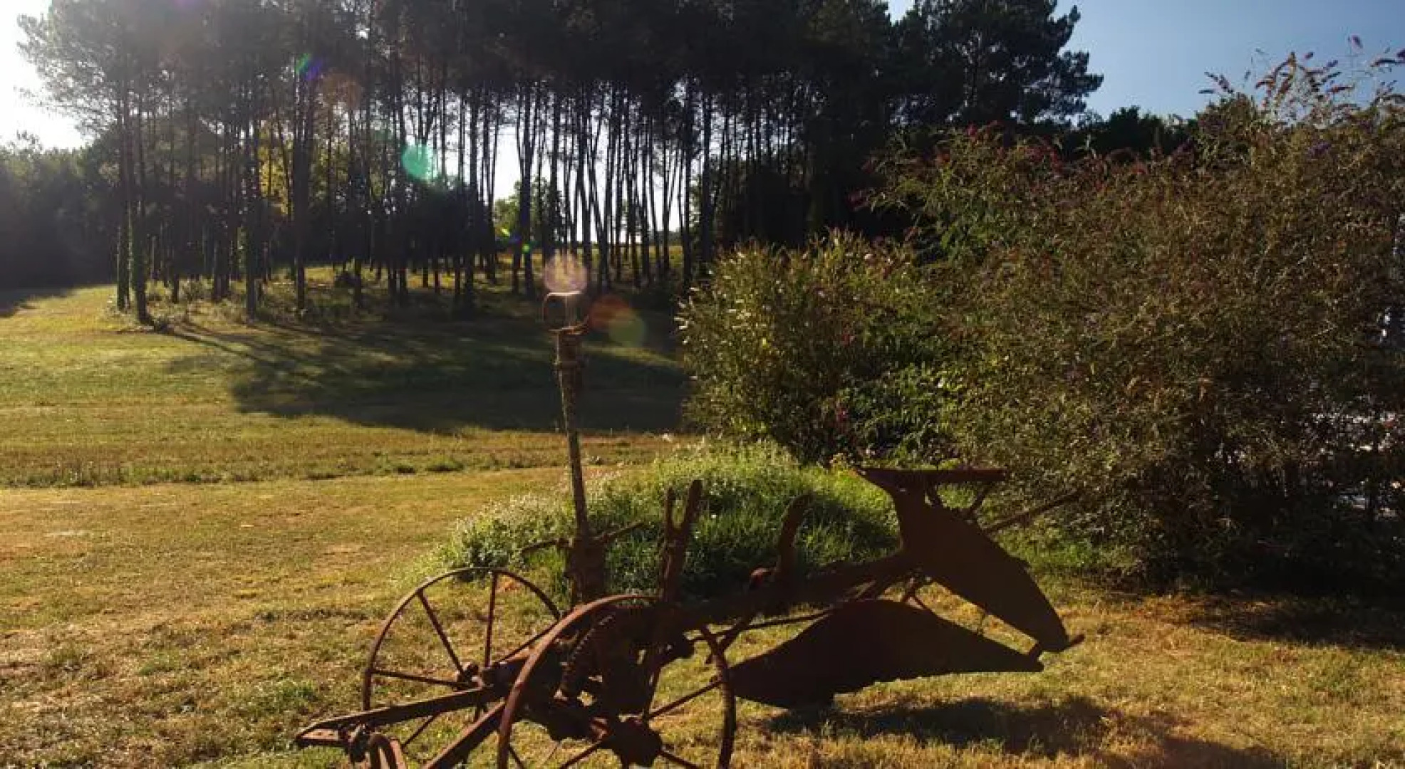 Les Menthes Sauvages