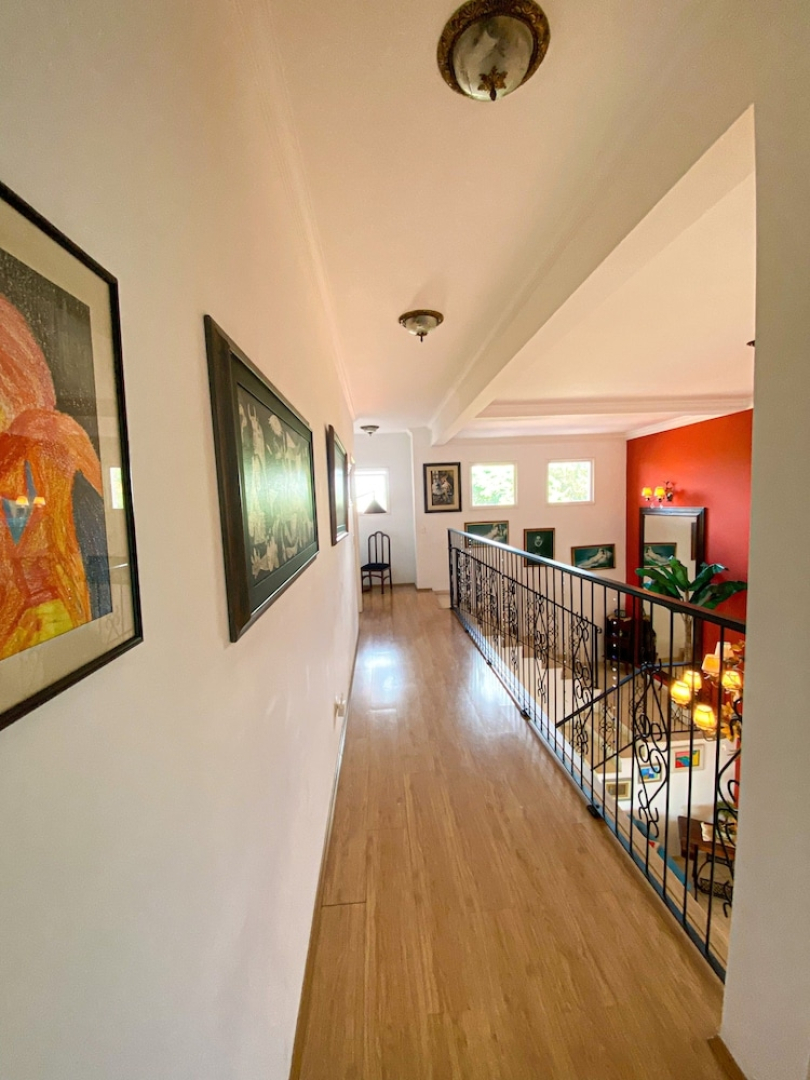 Paz e muito verde na Granja Viana