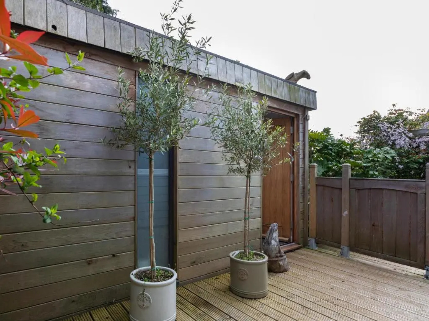 Owl and Dragon Studio