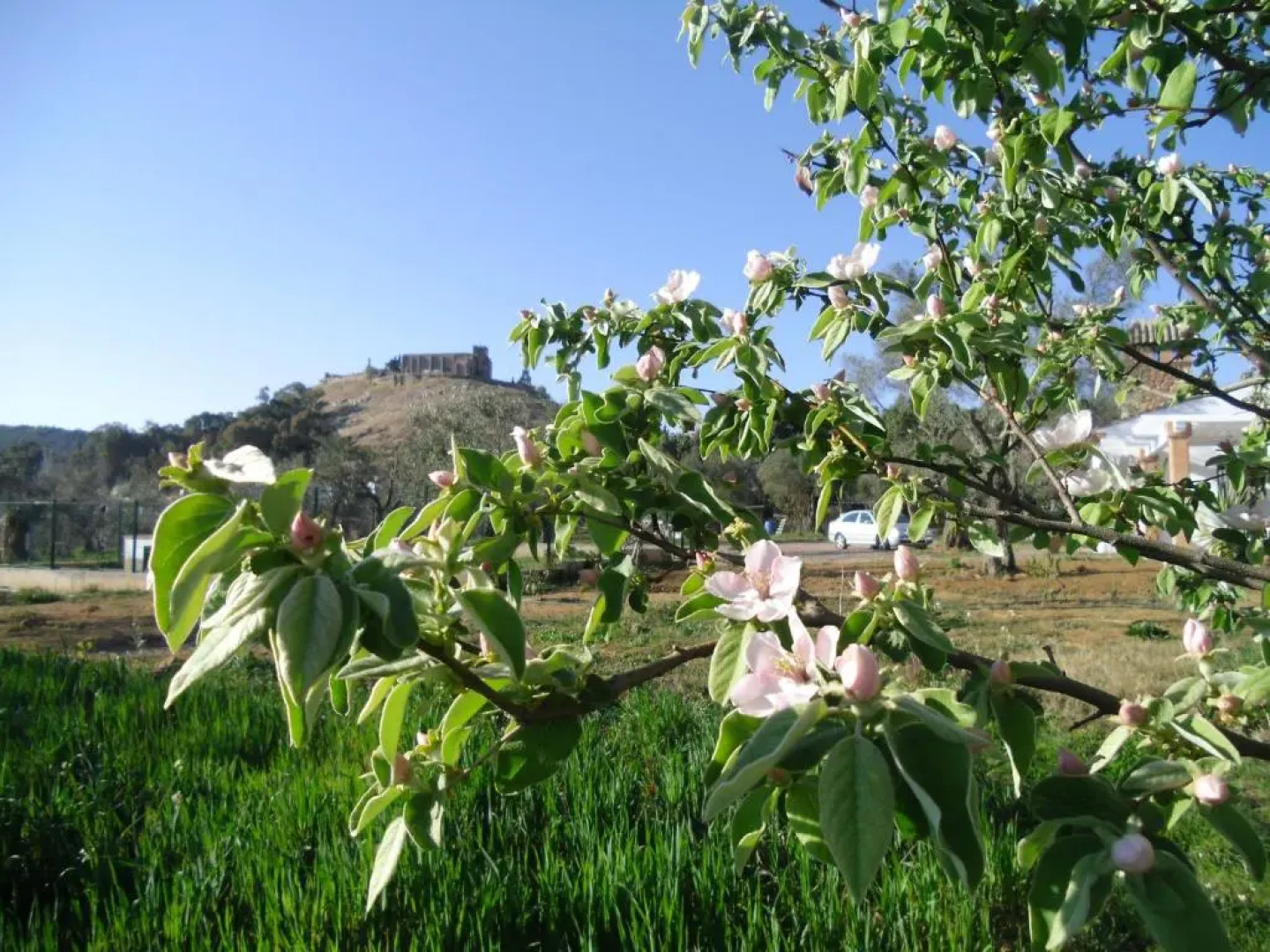 Casa Rural La Serrana de Aracena