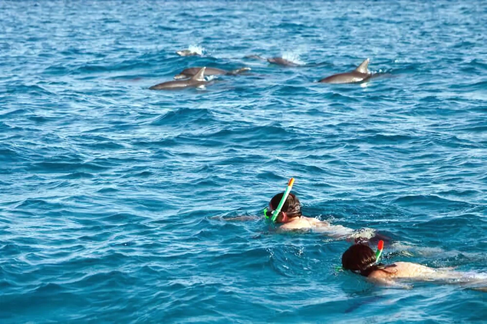 Venice Hotel and Apartment