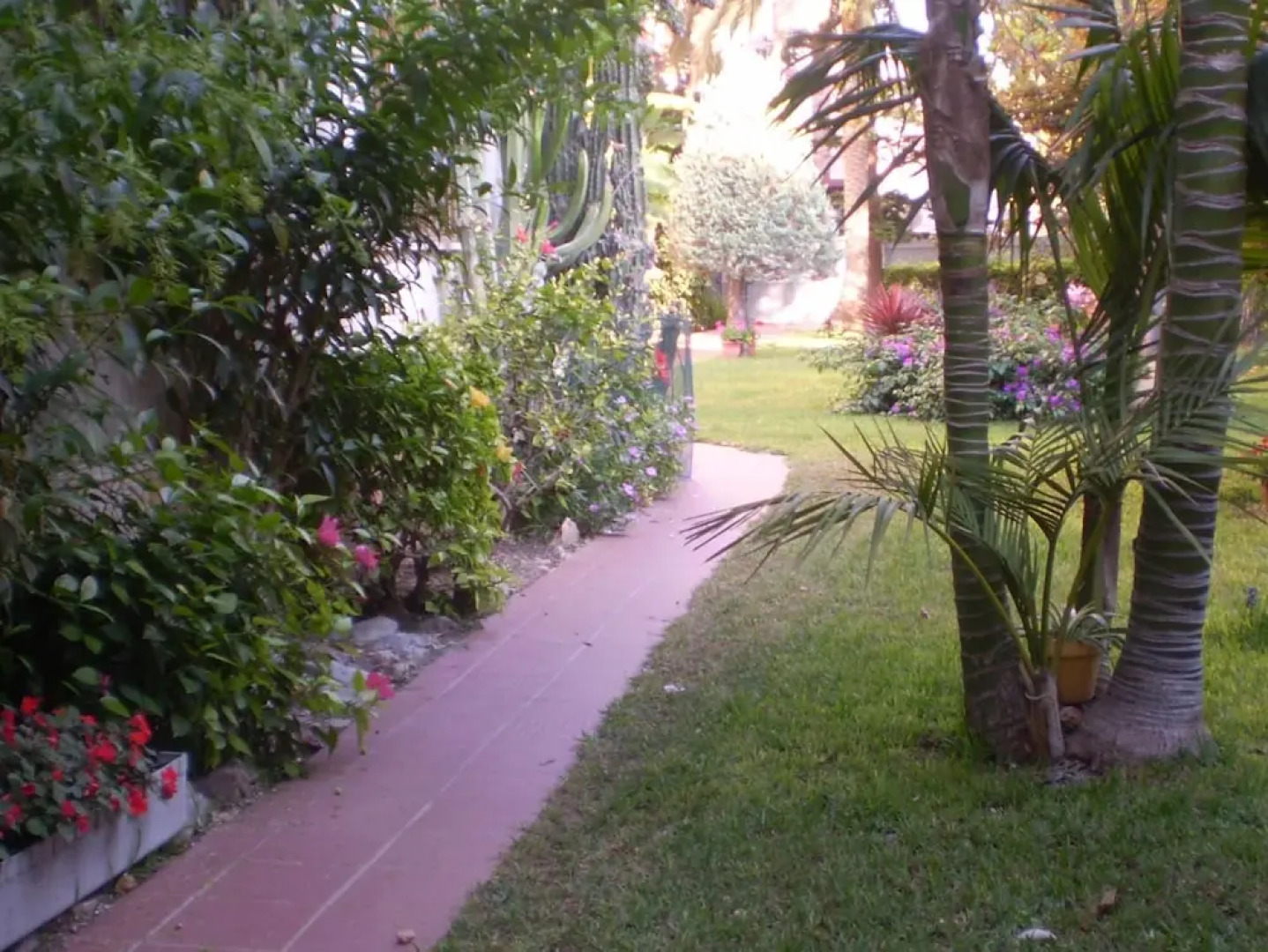 Apartamentos El Oasis