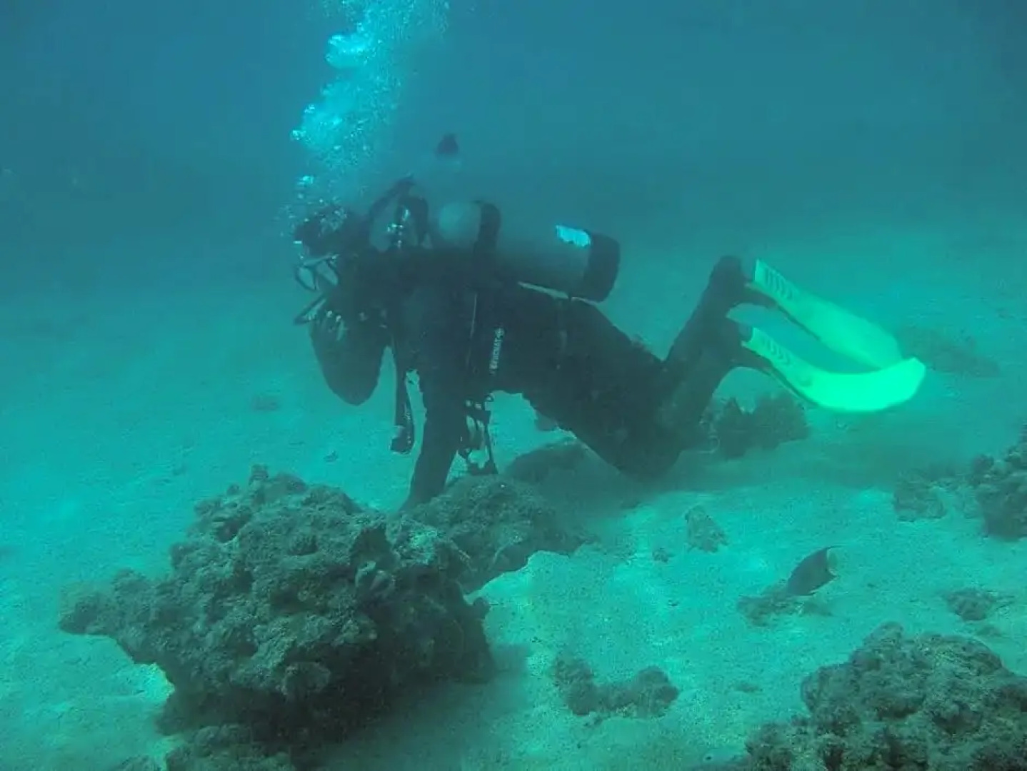 Al Bander Hotel & Resort