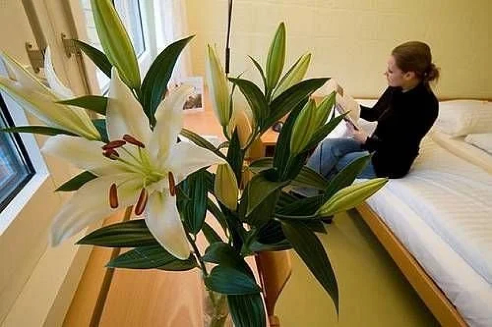 Seminarhotel Romerohaus