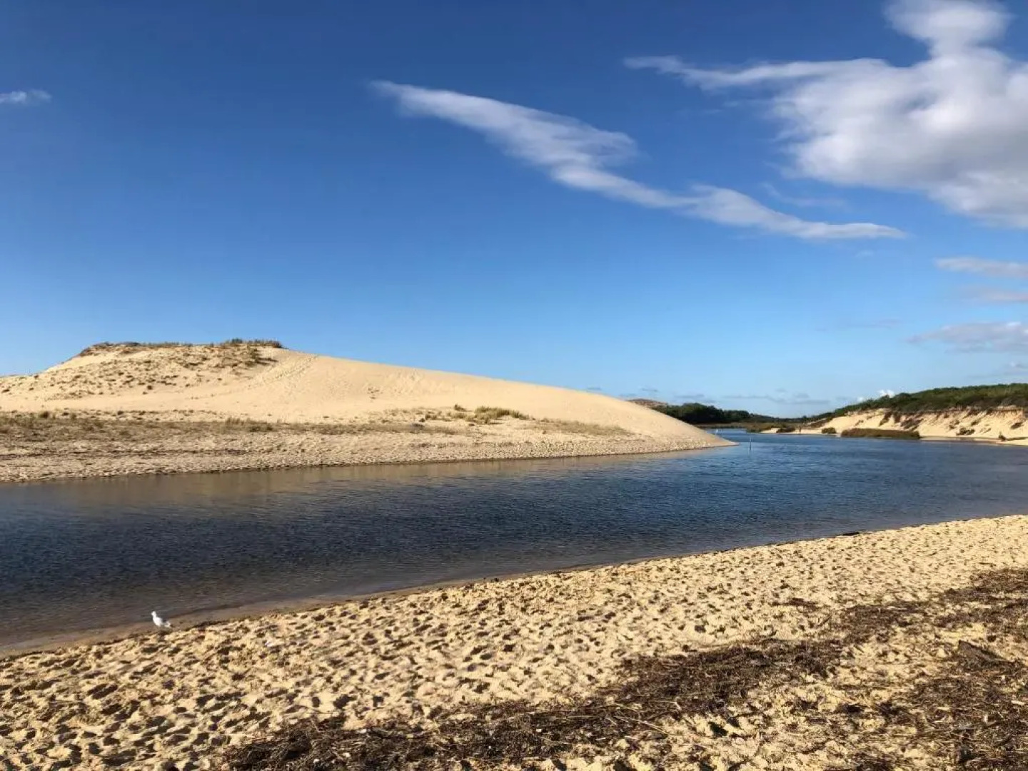 Chaleureux appartement à 500m de l’océan et 150m du Golf Moliets-Plage