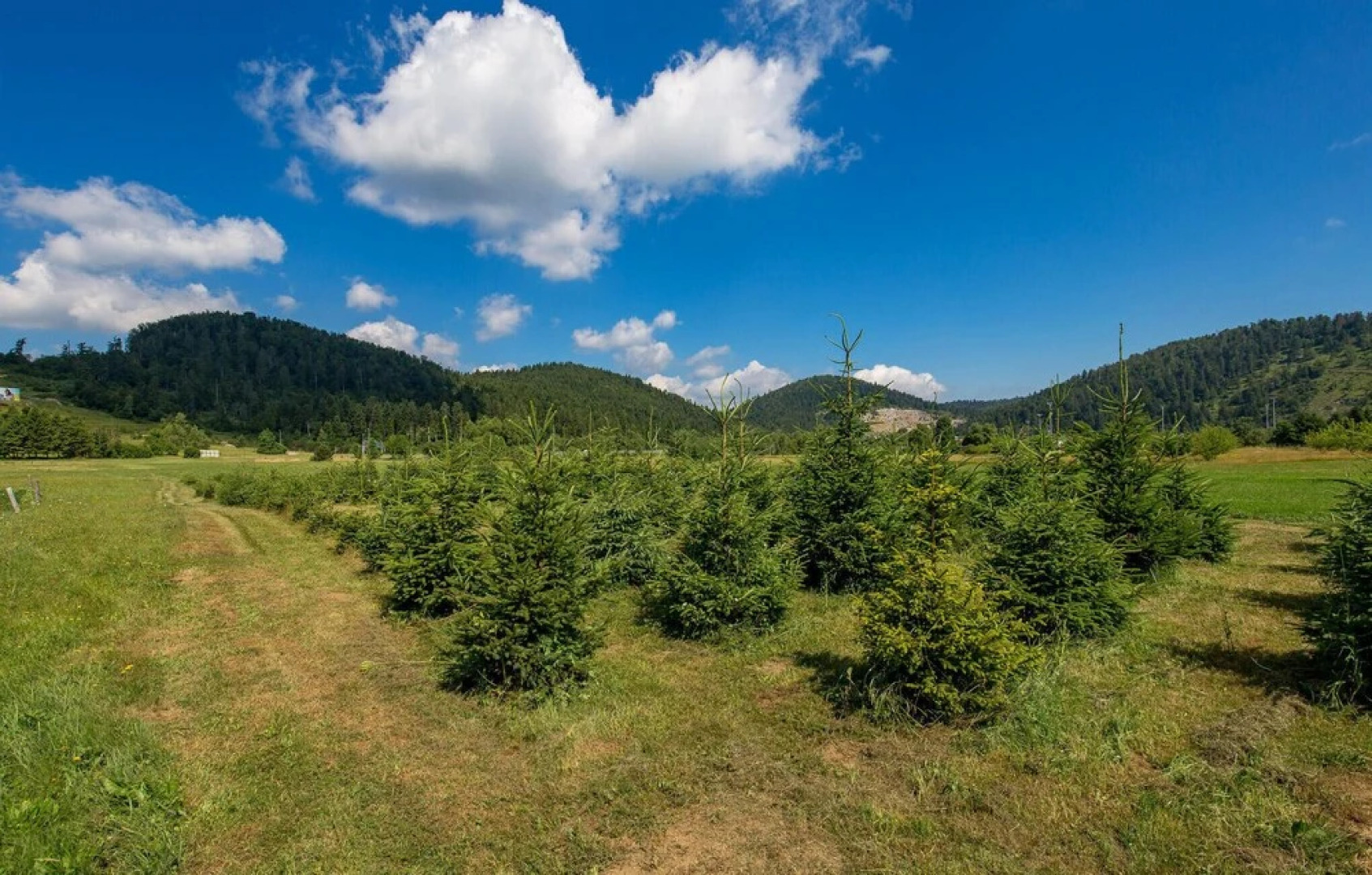 Nice Apartment in Fuzine With Wifi and 2 Bedrooms