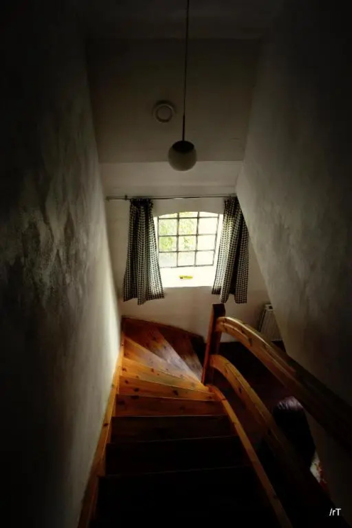 Stutteri Skandihest Apartments