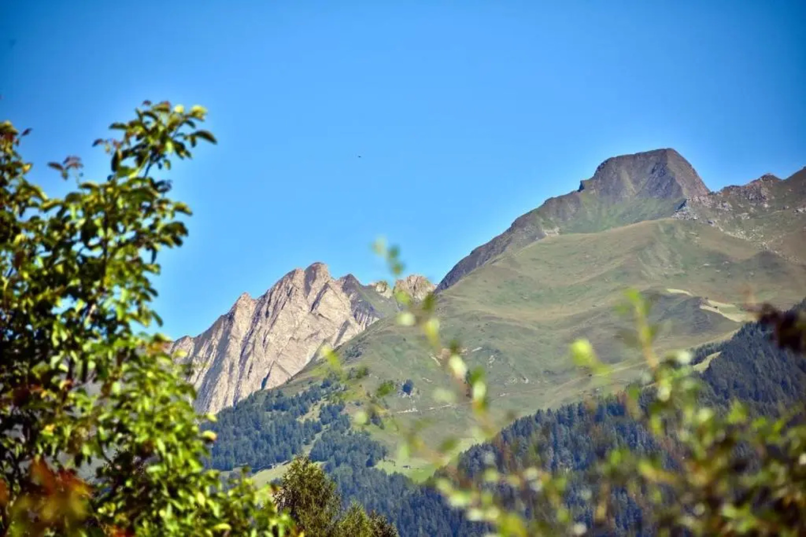 Tratterhof Apartments