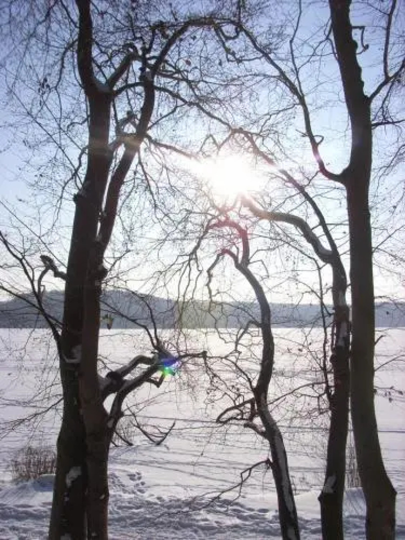 Hotel Villa im Steinbusch