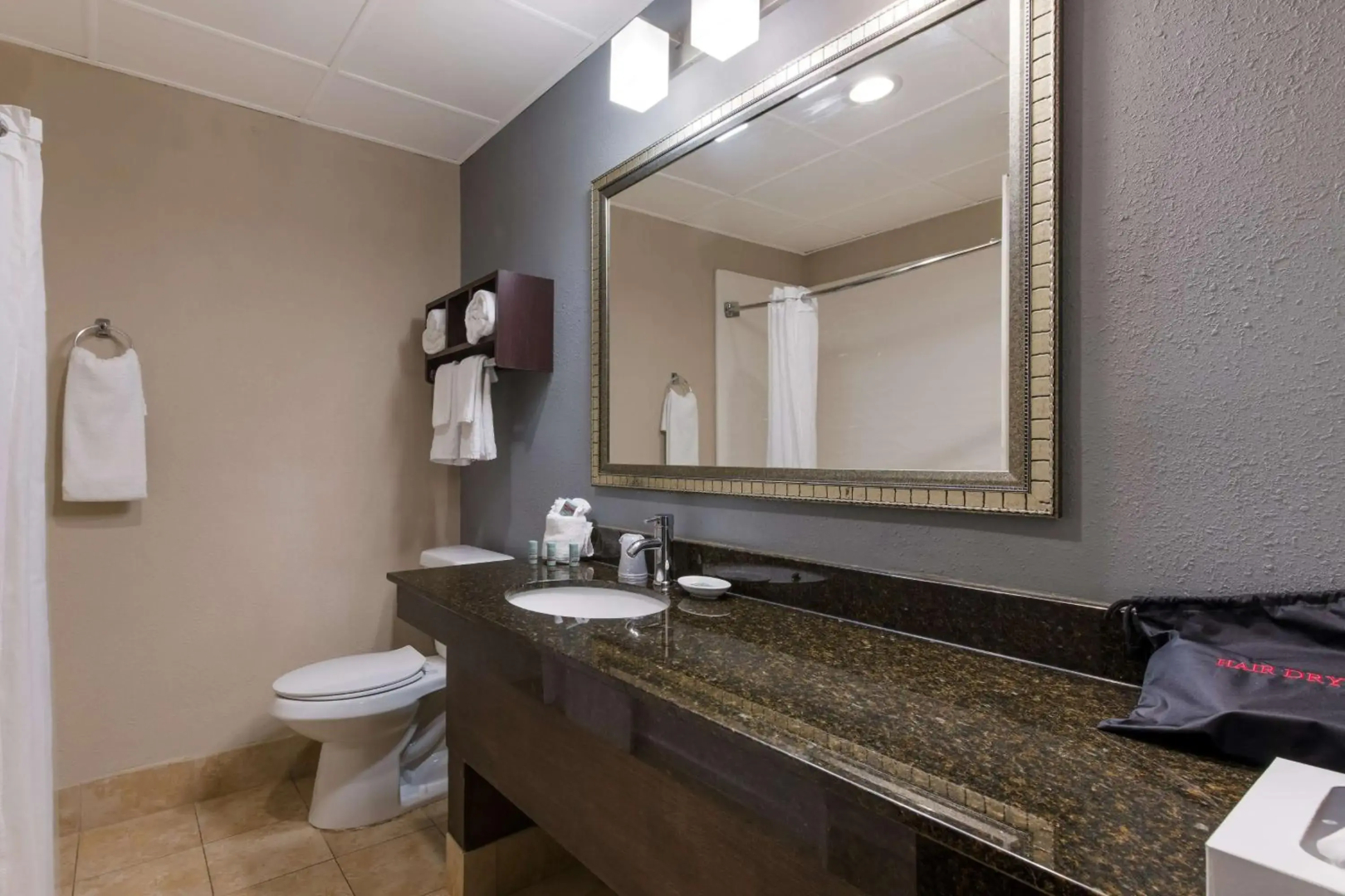 Best Western Albemarle Inn