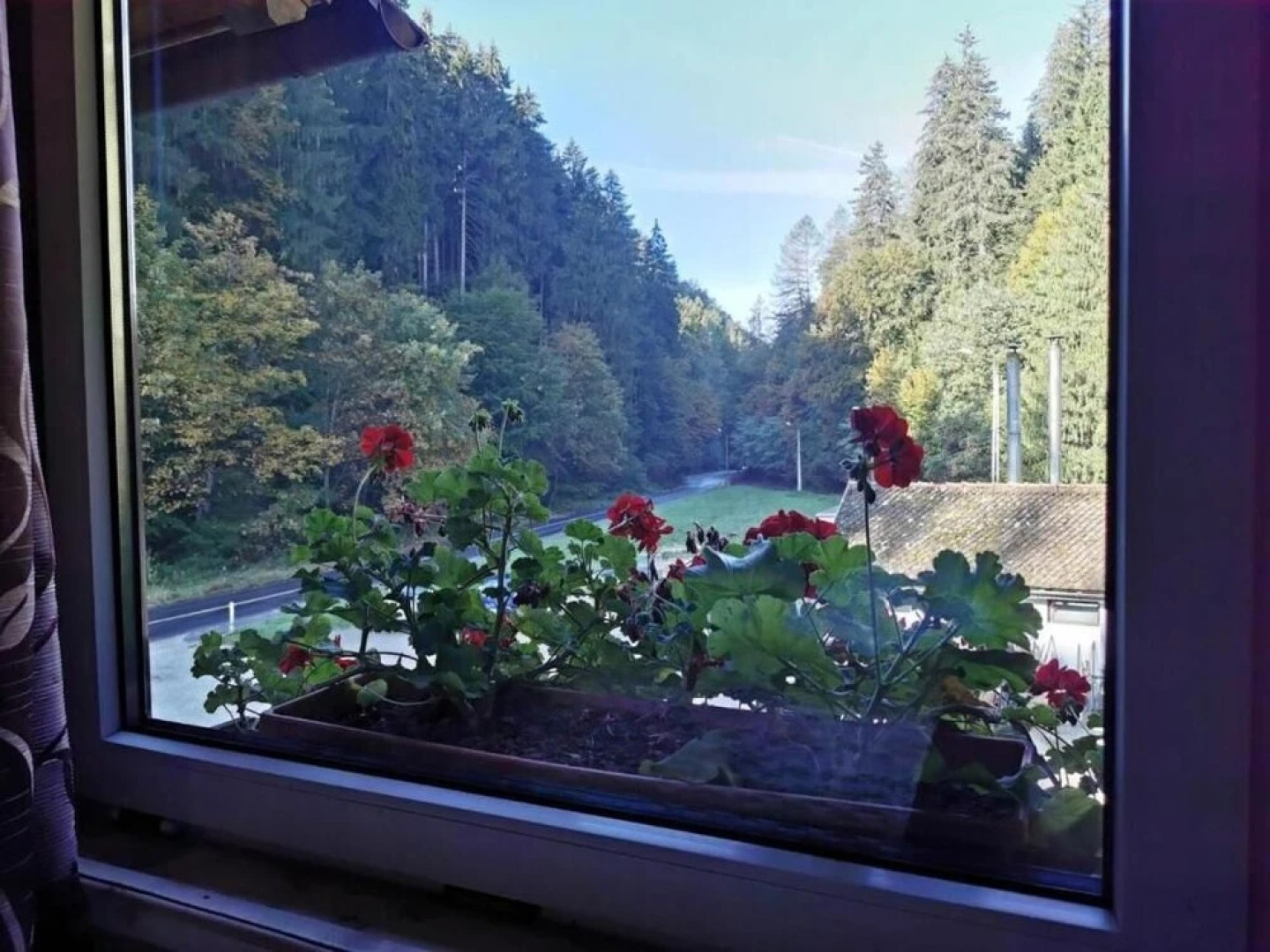 Pensiunea Valea Cetatii