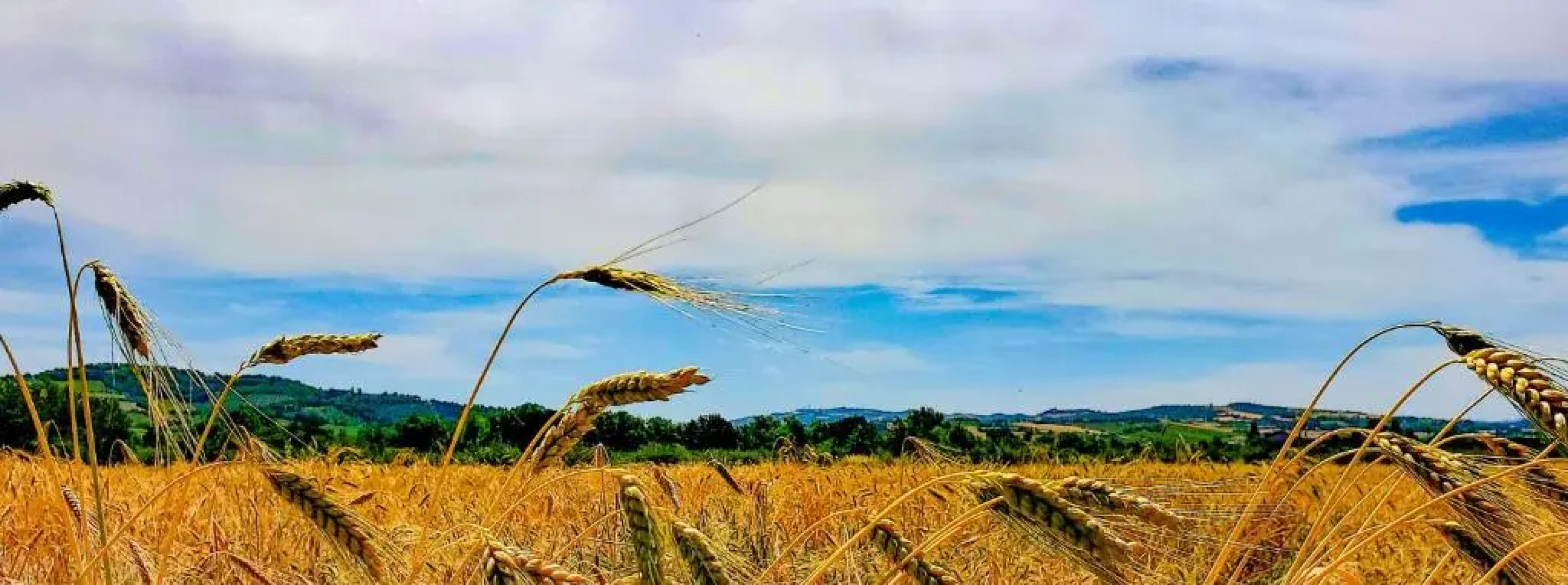 Agriturismo La Lenticchia