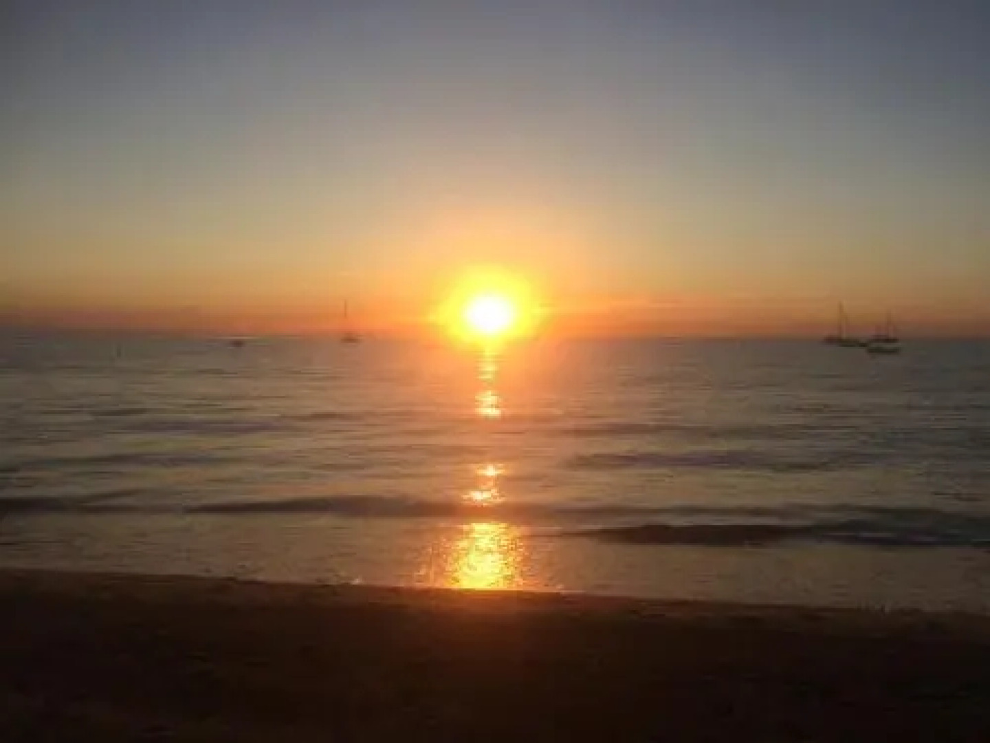 Clos des Vignes Pampelonne Vineyard