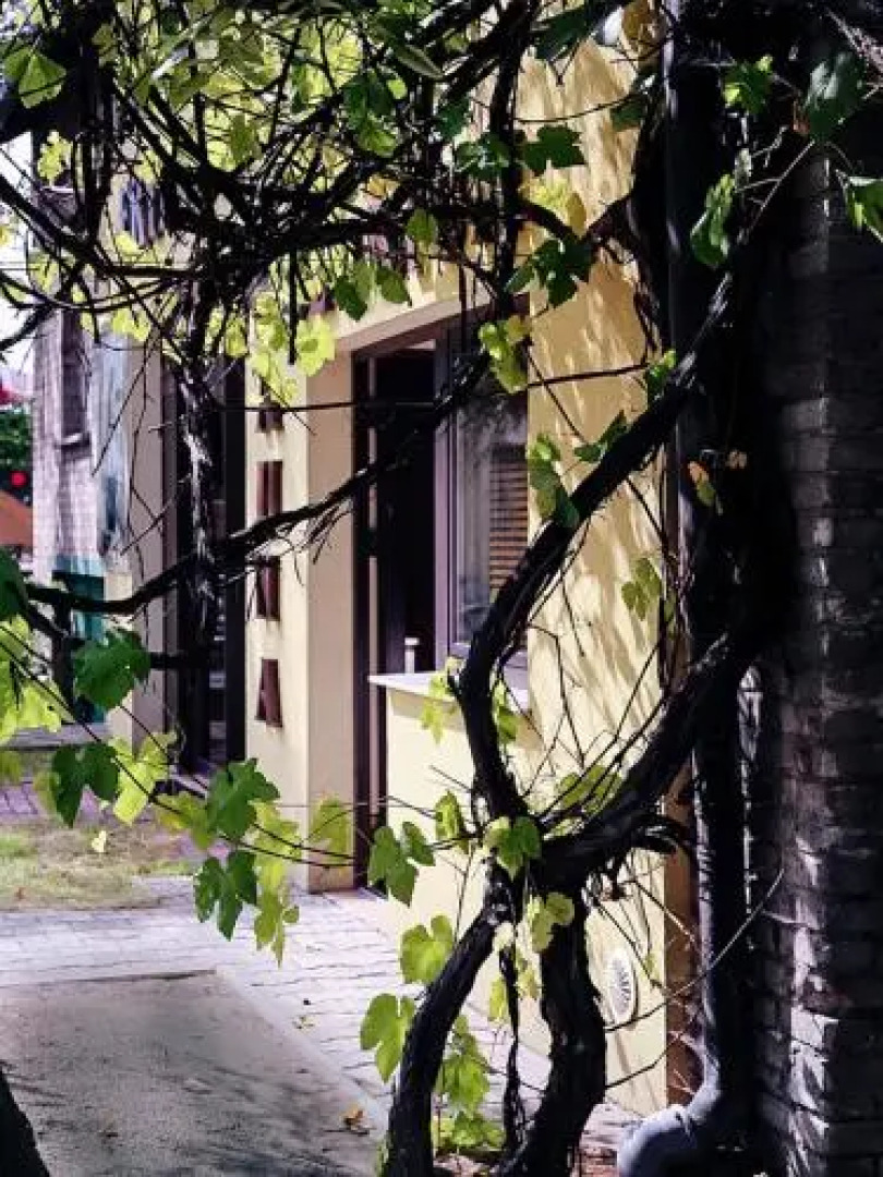 Oberża Złota Gęś