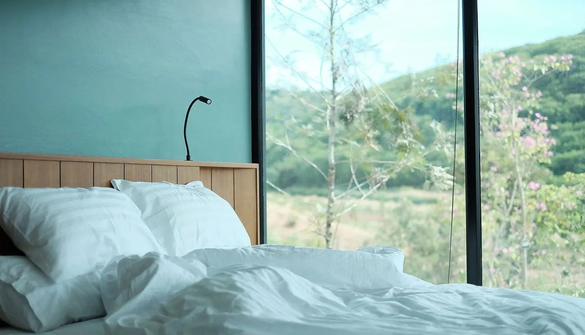 The Paz Khao Yai by PCL