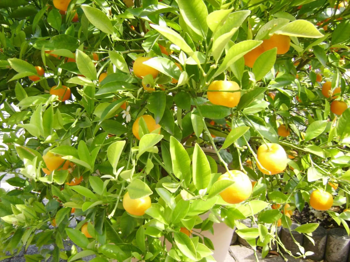 Ferienwohnung Eva-Maria