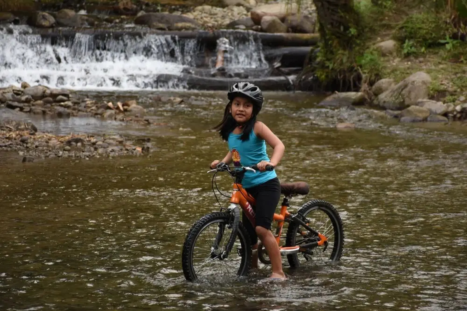 Cabañas Armonía y Jardín de Orquideas