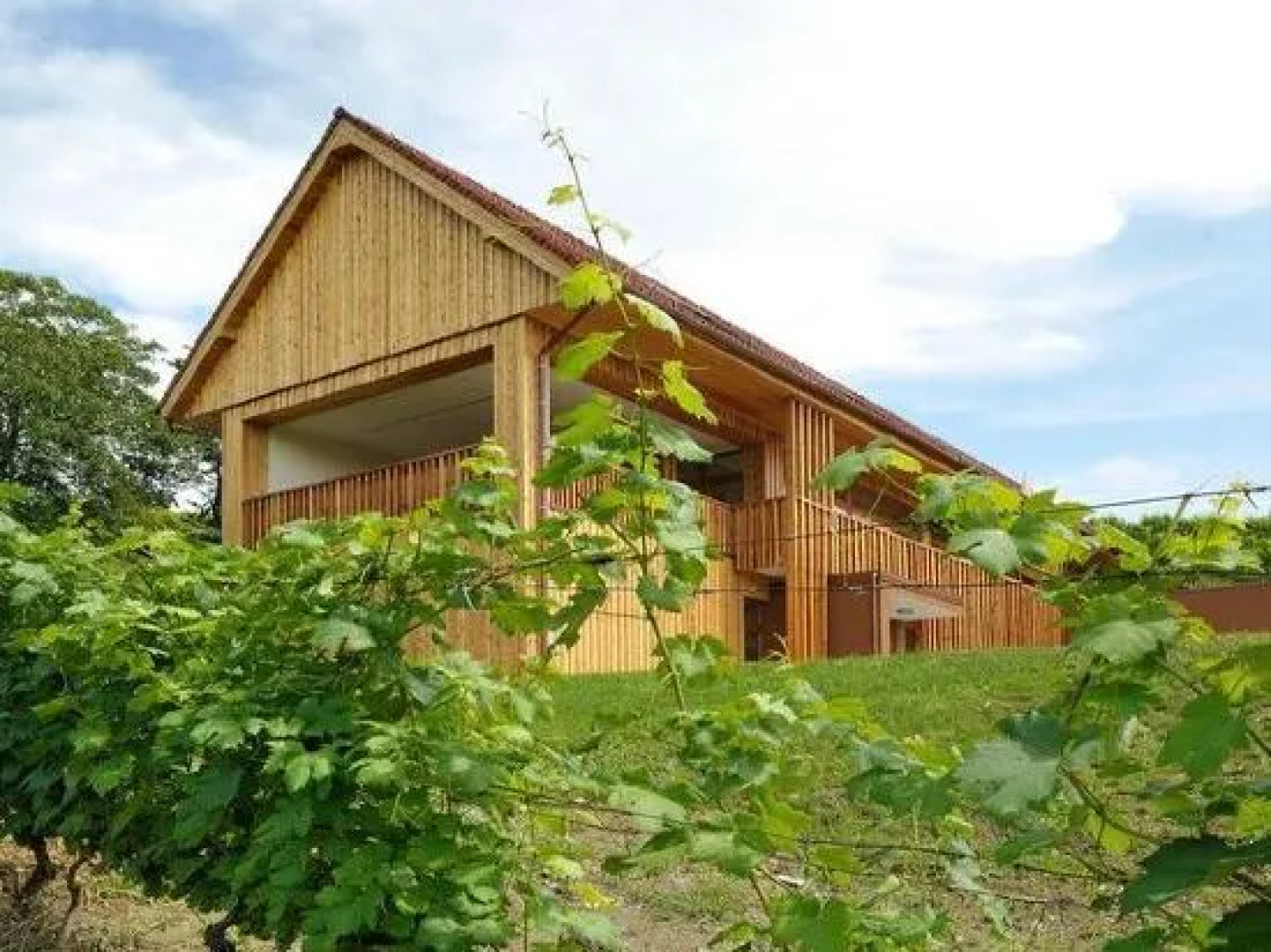 Wine & Tourisam Valdhuber Apartments