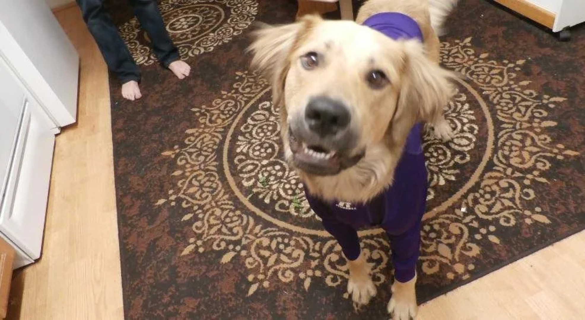 The Sage And Sand Motel