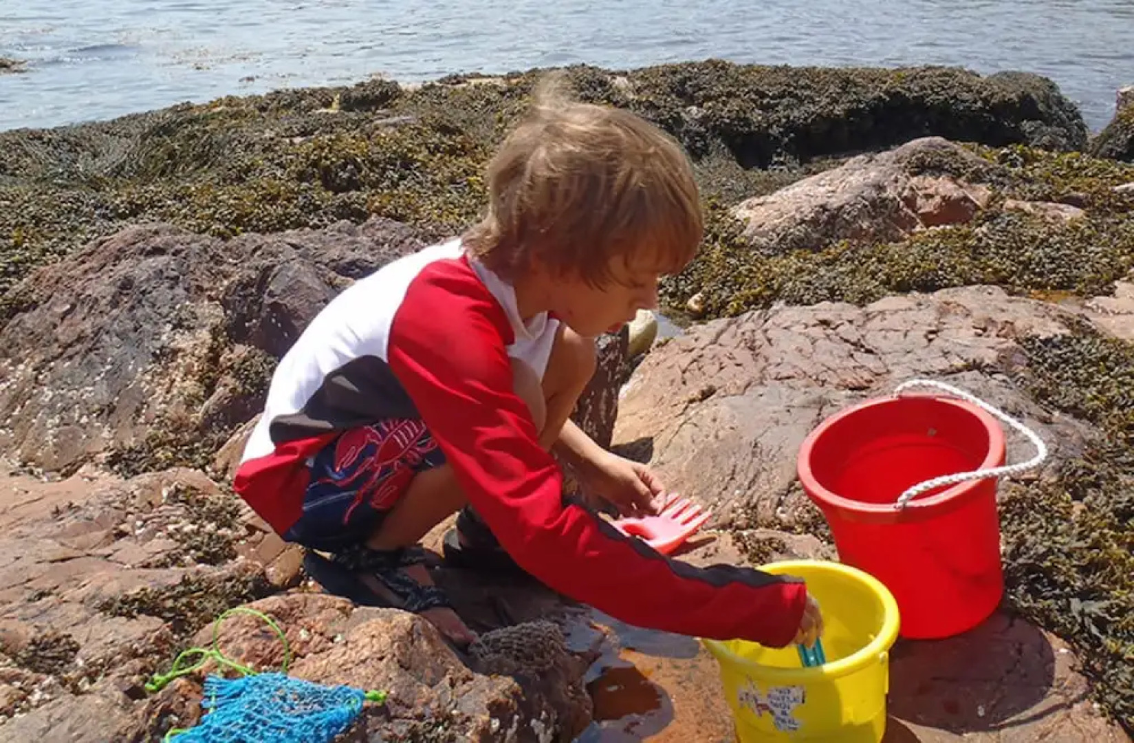 Acadia Oceanside Meadows Inn