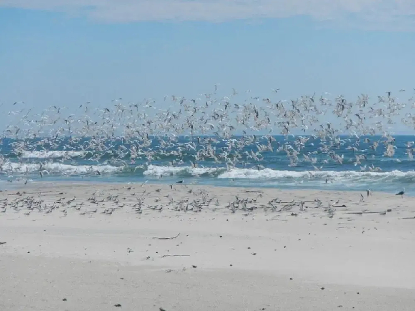 West Coast Luxury Tents- Glamping