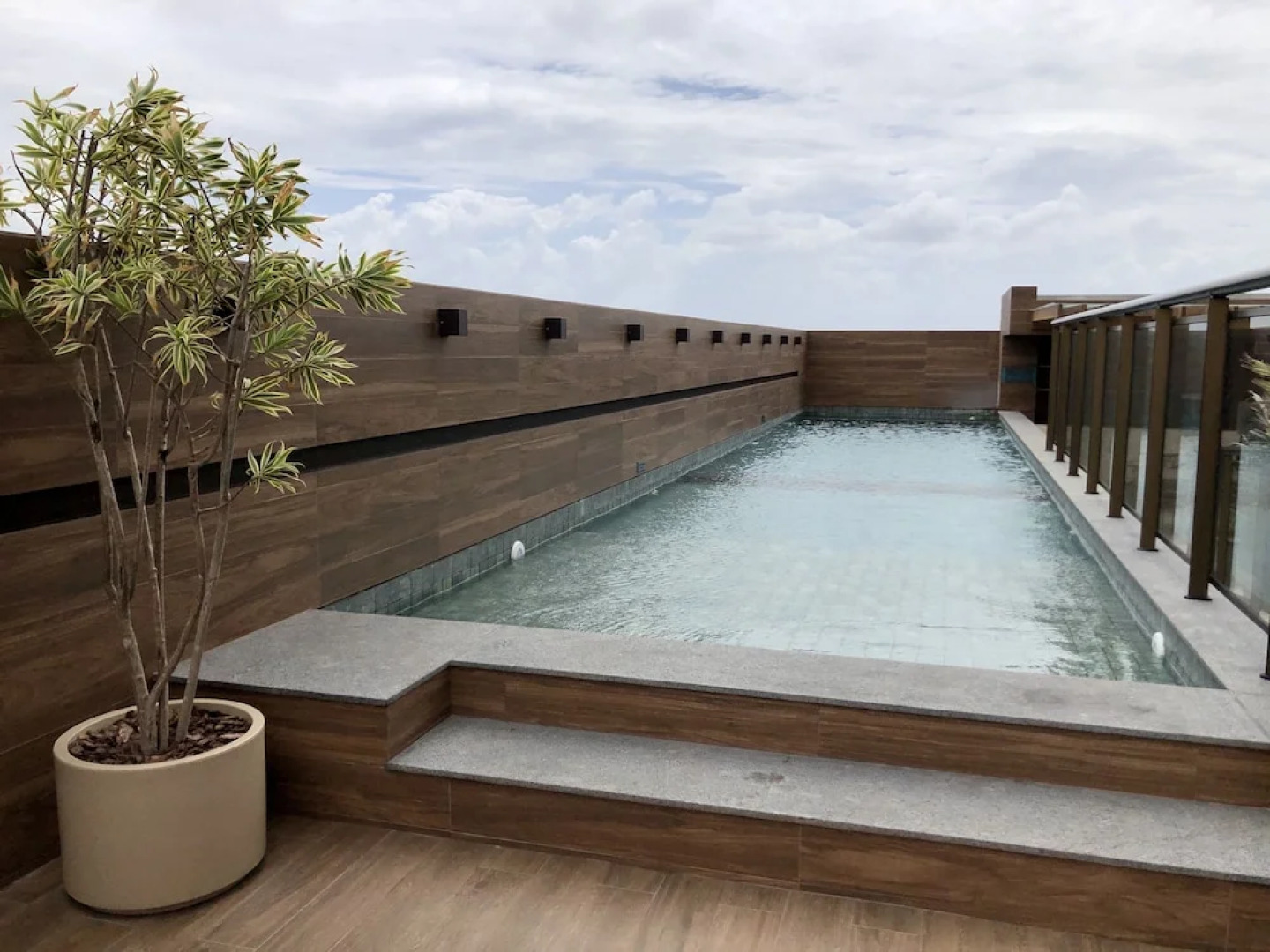 Studio desing holandeses