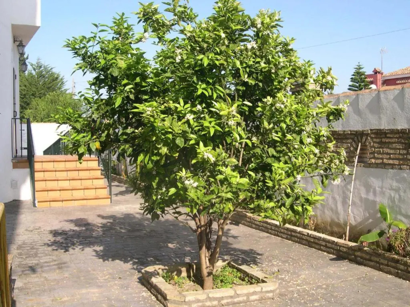 Hotel Cortijo Los Gallos