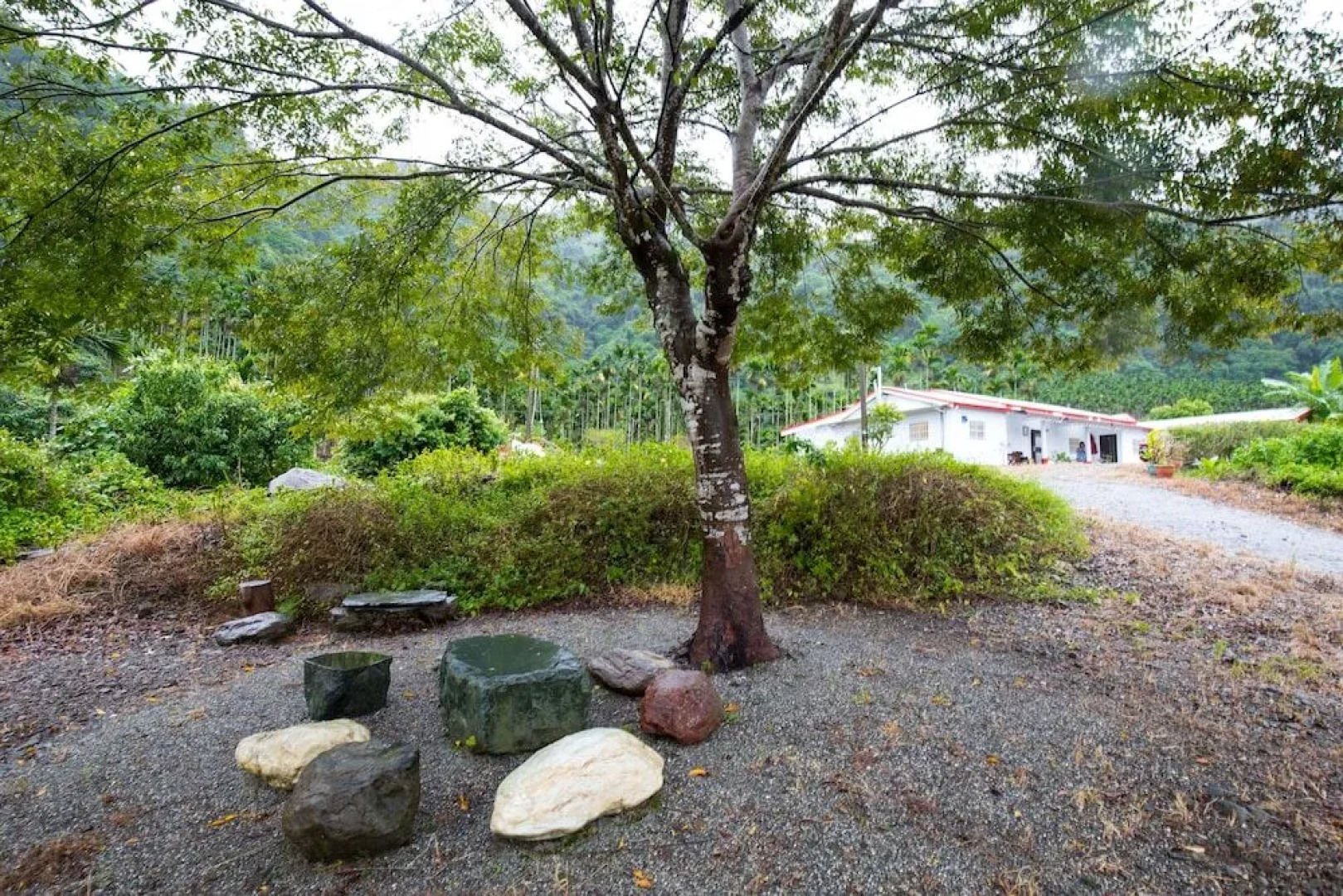 Mountains in Clouds B&B