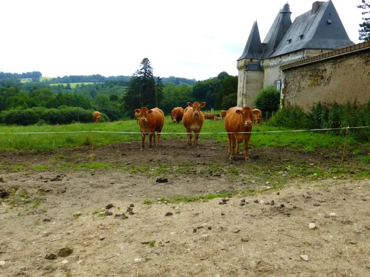 Château de Mavaleix