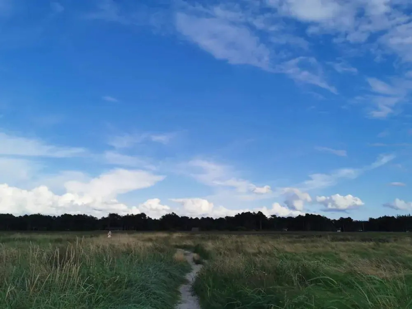 6 Person Holiday Home in Vig