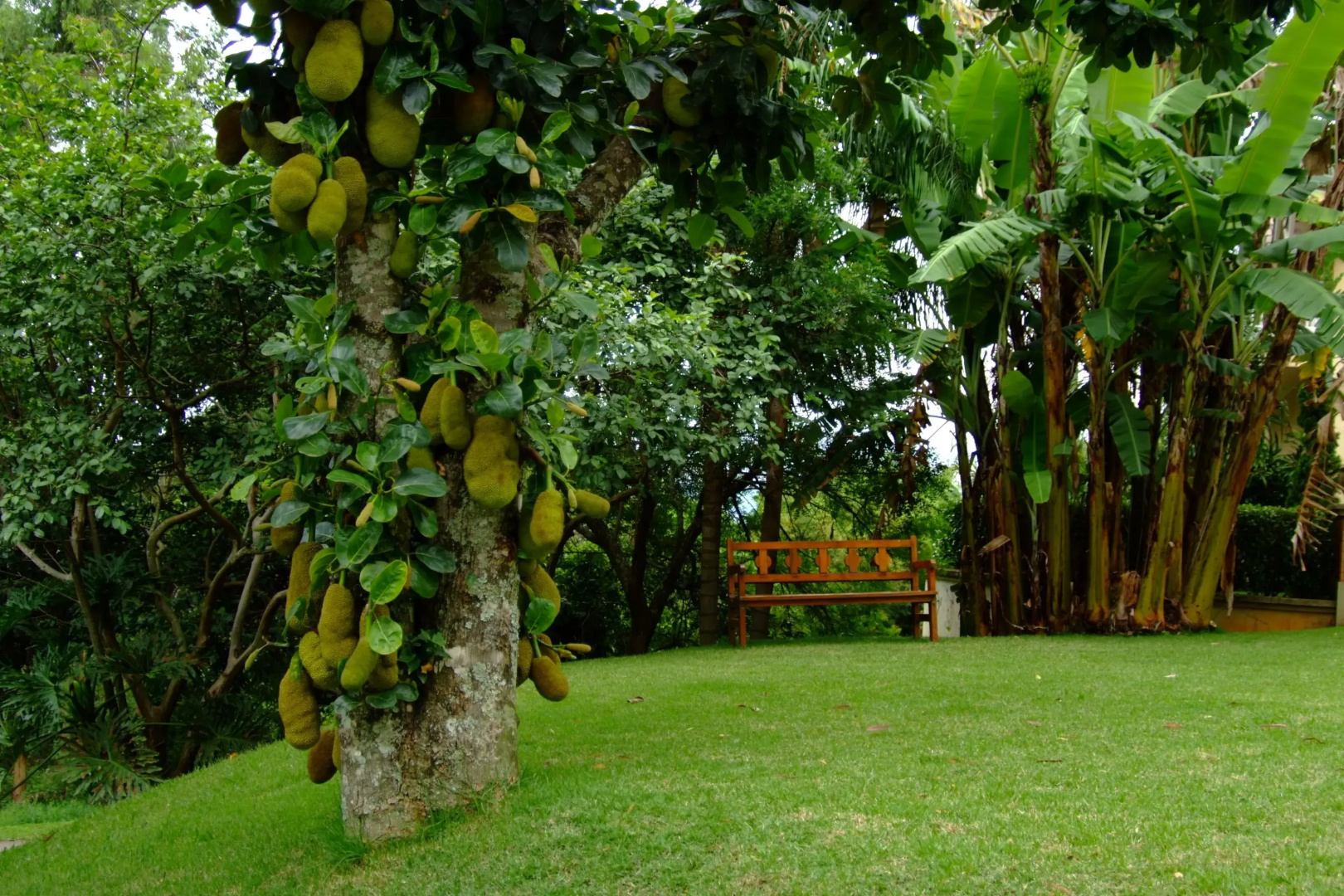 Recanto da Paz Hotel Fazenda